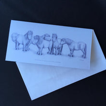 Load image into Gallery viewer, Shetland Pony Card - &quot;All the best things come in small packages&quot;