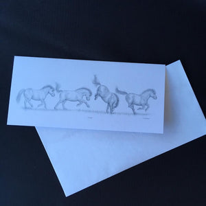 Shetland Pony Card - "Yippee!"