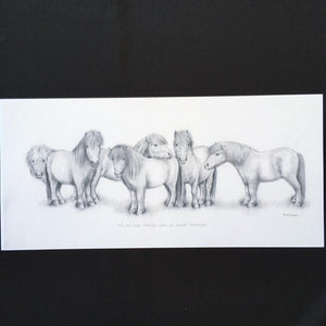 Shetland Pony Print - "All the best things come in small packages"