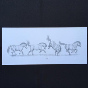 Shetland Pony Print - "Yippee!"