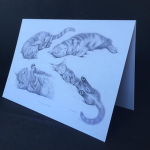Cat Card - "The Cat's Whiskers"