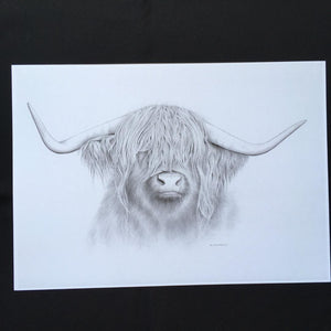Highland Cow Print - "Heilan' Coo"