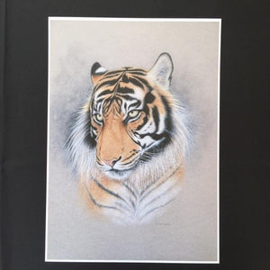 Tiger Print - "Tiger"