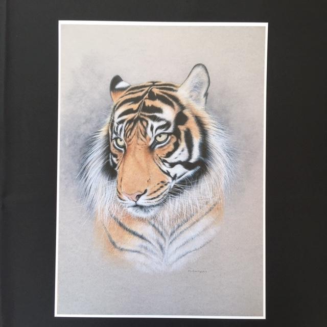 Tiger Print - 