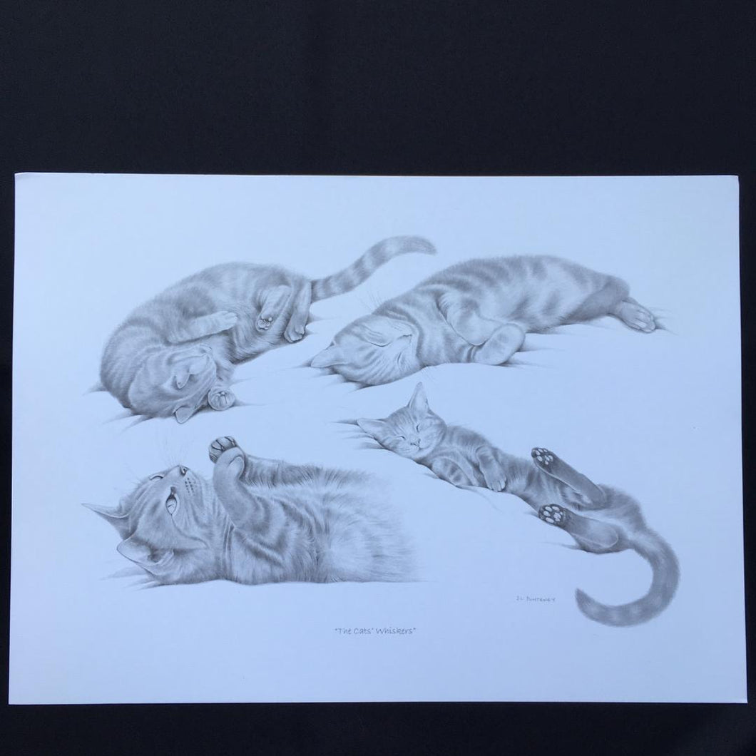 Cat Print - 