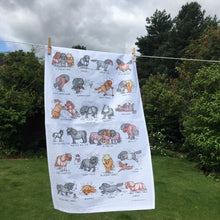 Load image into Gallery viewer, Shetland Pony Tea Towel